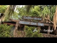 Kava Bar Vanuatu 392
